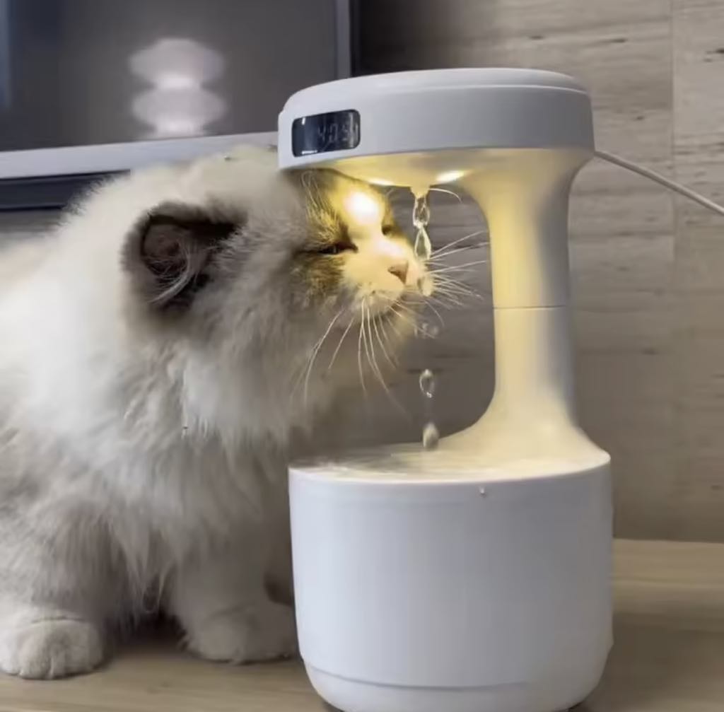Diffuseur Humidificateur anti-gravité avec écran LED 800ml