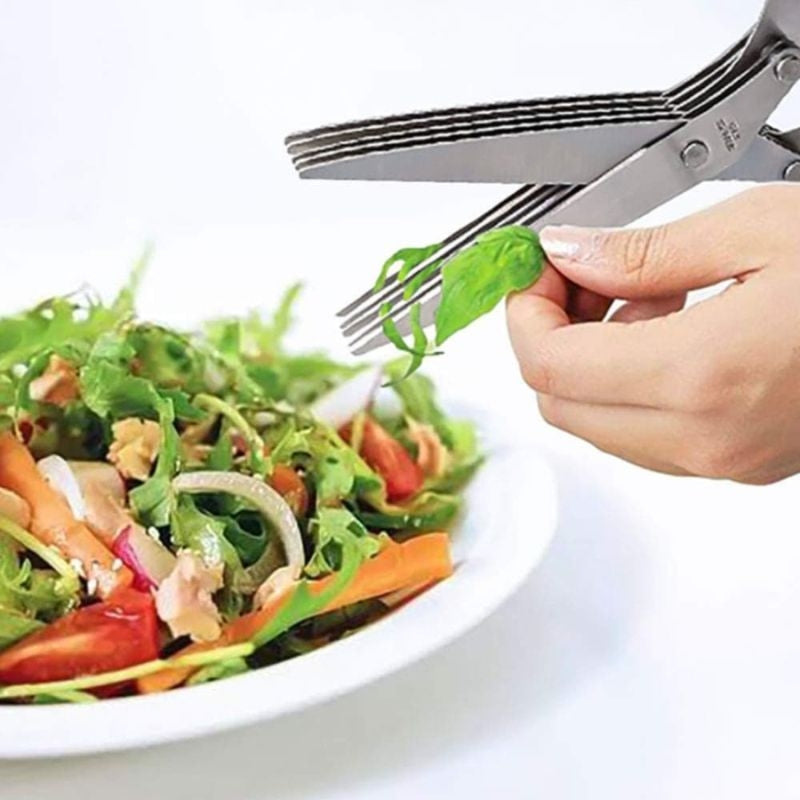 Ciseaux À 5 Lames Inoxydable