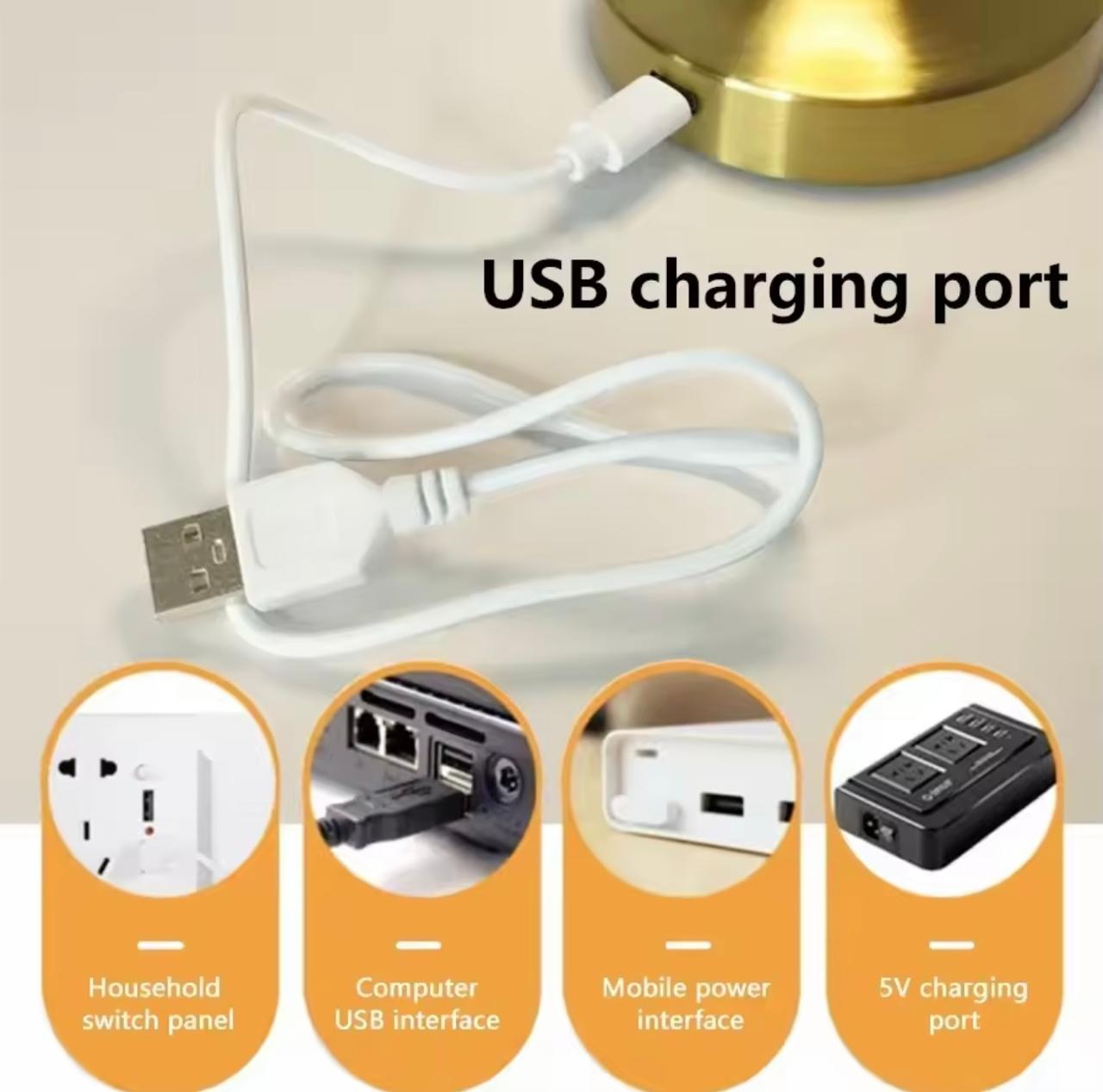 Lampe De Table Portables Sans Fil Rechargeable Avec Tactile Modèle 2
