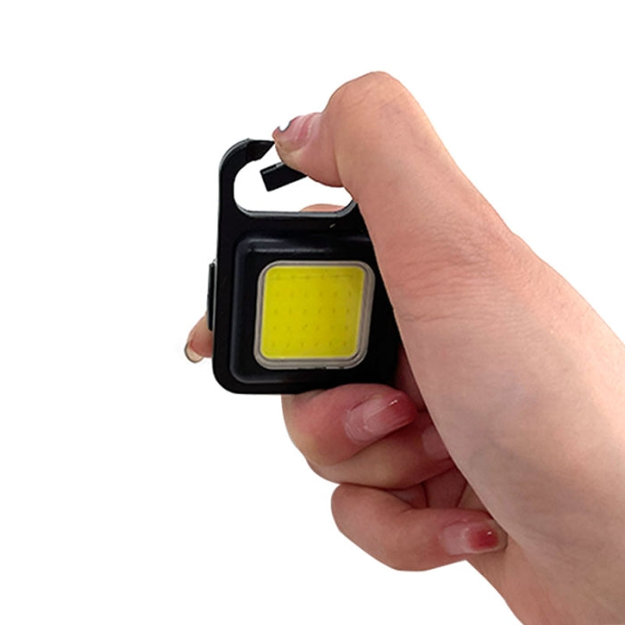 Lampe De Poche Et Porte-Clés Rechargeable 6 W