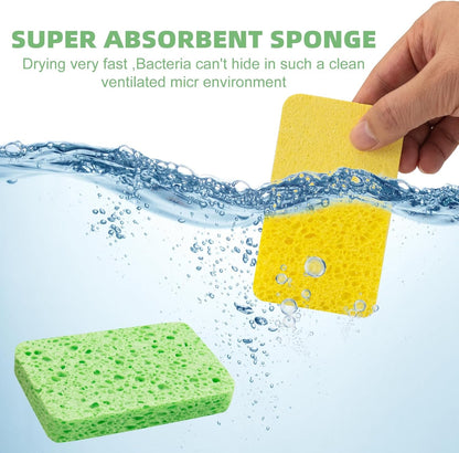 Pack de 5 Éponges Compressées Réutilisables En Cellulose – Couleurs Aléatoires