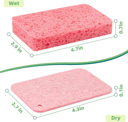 Pack de 5 Éponges Compressées Réutilisables En Cellulose – Couleurs Aléatoires