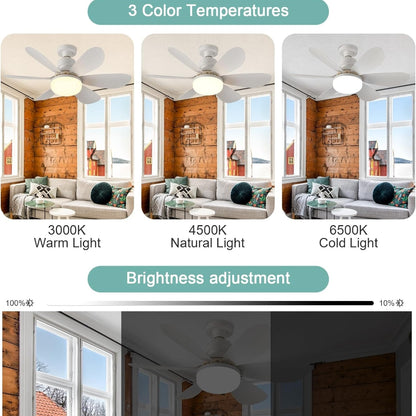 Ventilateur de Plafond LED 2 en 1 Silencieux Avec Télécommande – 3 Vitesses
