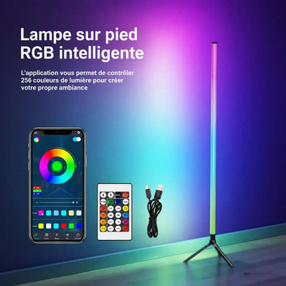 Lampe D'ambiance LED RGB Avec Télécommande et Trépieds